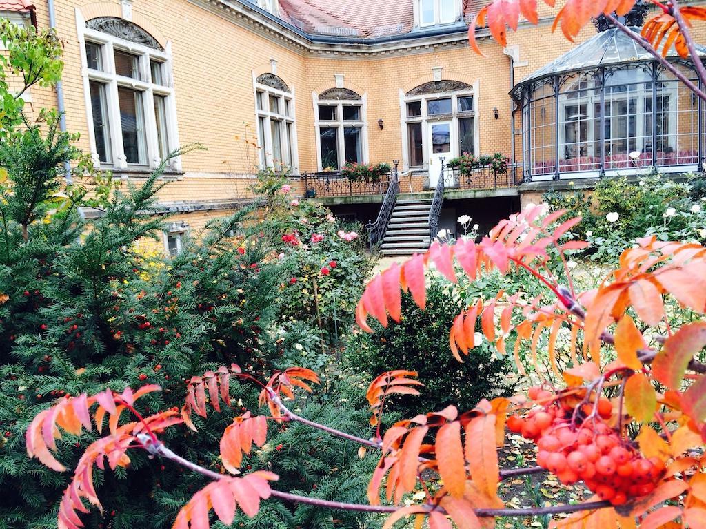 Pension Sanssouci بوتسدام الغرفة الصورة